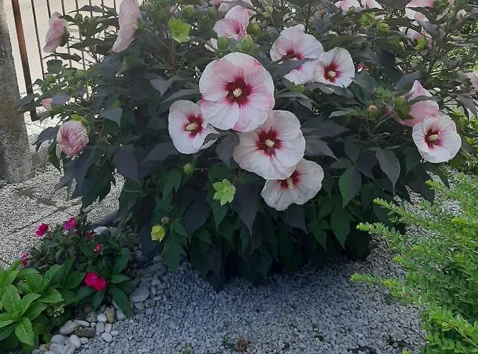 Holiday Livada * Ljubljana